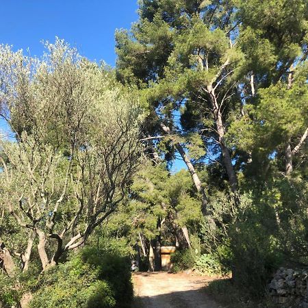 Les Pins Lägenhet Le Castellet  Exteriör bild